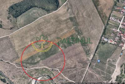 Teren agricol intravilan de 3900 mp, în Turnișor