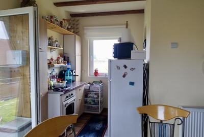 Cabana, 4 camere, 120 mp, teren 410 mp, Marisel - 10