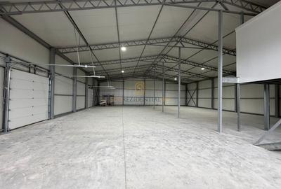 Hală nouă Pallady – 3 în 1: Producție, Depozitare, Industrial - 3