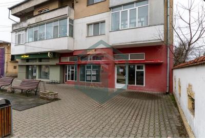 Ilia, Județul Hunedoara