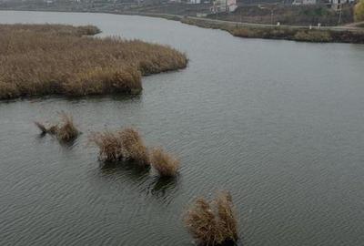 Teren 10.009 mp cu deschidere 70 m — vedere la lac și pădure - 3