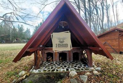 Refugiu rustic in natura – proprietate deosebita in Valea Avrigului – Sibiu - 6
