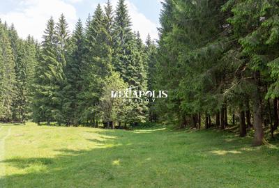 Teren intravilan | Moieciu de Sus | 12307 | PUZ - 18