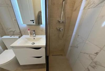 Apartament 2 camere Salajan - 4