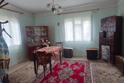 Casa plus Teren Risculita - 14