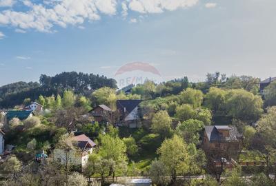 Teren intravilan 561 mp – Săcele, zona Turcheș (str. Morii) - 7