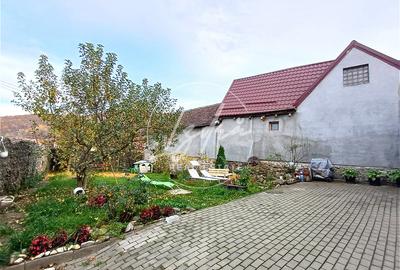 Casa de poveste in Fantanele, judetul Sibiu - 15