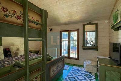 Casa de vacanta superba in Crivaia - 16