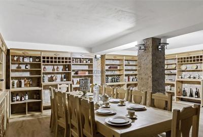 Vila exclusivista cu piscina, sauna si crama, 479.27 mp, langa padure - 10