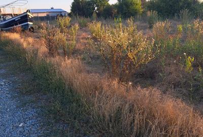Teren intravilan Steaua de mare 2 - 2