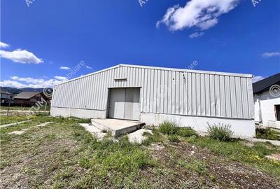 Hala de 918 mp utili si teren de 2400 mp cu acces de tir in Talmaciu - 1