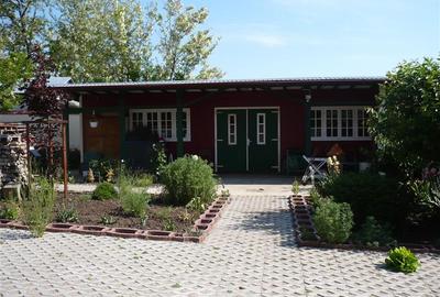 Casa tip Parter, amprenta 346 mp, teren 7241 mp, POGOANELE - 5