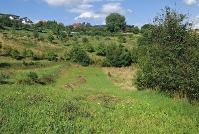 Teren de vânzare in Feleacu - 2