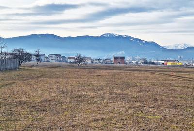 Tractorul, str.N.Labis, 1000mp, 75 euro/mp - 8