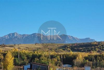 Oportunitate Investitie - Parc industrial Zarnesti | Teren 6462MP - 7