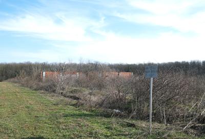 GANEASA, langa lac, padure si vile, 1075 mp. teren construibil - 3