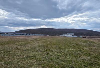 Teren intravilan 2.500 mp- Hemeiuș - 1