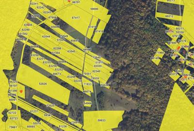 Oportunitate investitie! Teren intravilan, 5800mp, Floresti - 1