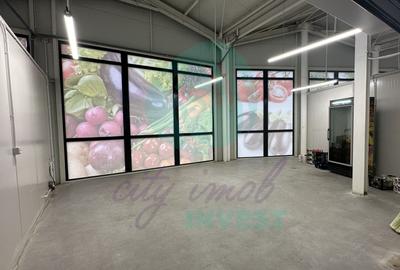 Spatii comerciale de inchiriat in PIATA DELFINULUI - 4