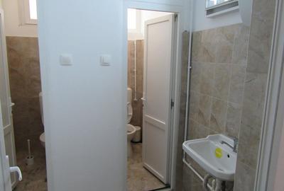 Inchiriere Spatiu Comercial Teiul Doamnei - 36