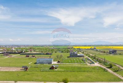Teren 1300 mp | Sanpetru | zona Livada - 3
