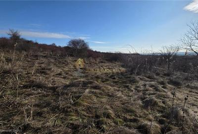 TEREN INTRAVILAN 590 MP  | 2 FRONTURI 17 MP | ZONA CARTIER  VORONET - 5