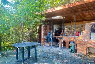 Casa Individuala, 170mp, 1000mp gradina, pet-friendly, Dambul Rotund - 1