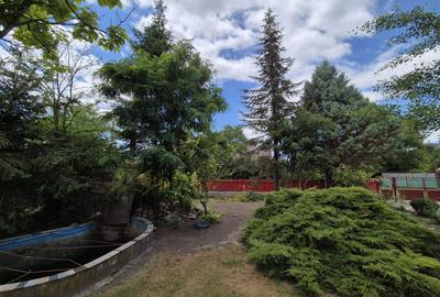 Vilă 7 camere de vânzare – Dârvari, Fundulea, Liniste I Natură I Lac - 8