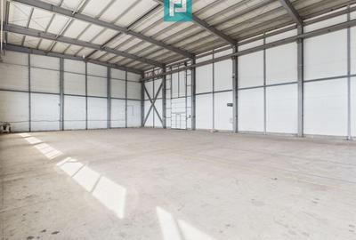 Spațiu industrial, 1087 mp în Aradul Nou