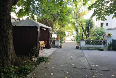 Casă cu 10 camere în Cișmigiu