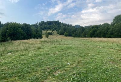 Teren intravilan unic dezvoltare turistica PUZ S+D+P+2,3M hotel, case de vacanta - 12