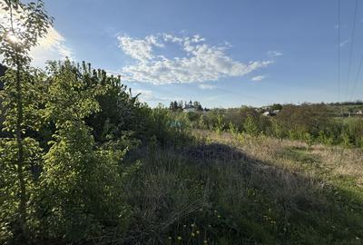 Casă de vânzare | Horodniceni | 3200 MP Teren intravilan - 10
