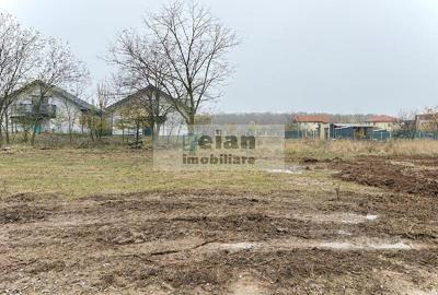 Snagov Ciofliceni - Teren 668 Mp, D 30 M, Gaz, Curent, Asfalt, Padure - 2