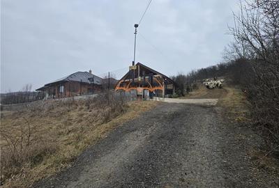 2 Terenuri de vanzare in Popesti Baciu 500mÂ˛+ 2.030mÂ˛/40âŹ mÂ˛. - 2