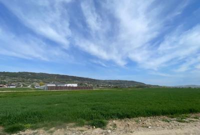 Teren agricol intravilan de 1789 mp, în Oșorhei