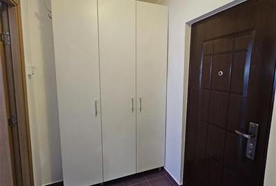 Brancoveanu-Izvorul Oltului, apartament mobilat si utilat modern, bloc reabilita - 22