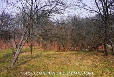 STIRBEI - VODA, CASA CU TEREN 2000 MP - 11