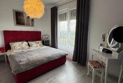Apartament 2 camere Dumbravita bloc nou - 9