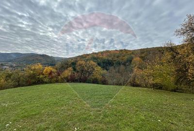 Teren 2,000mp Copalnic-Manastur / Strada Principala - 1