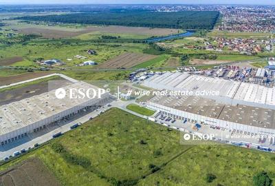 WDP Industrial Park Timisoara, spatii industrale, 2.500 - 25.000mp - 3