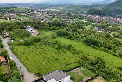 Teren intravilan 4000mp Cisnadioara str. Ciresilor - 2