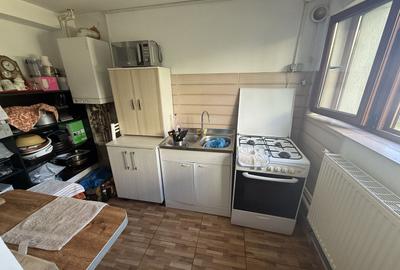 De vânzare VILA P+1 zona Islaz - 21