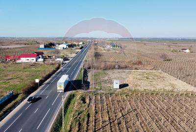 Panou publicitar si Teren inchiriere - 7