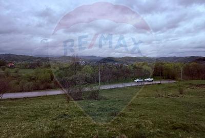 Teren 4,780mp Vadu Izei / Drumul Secatura - 1