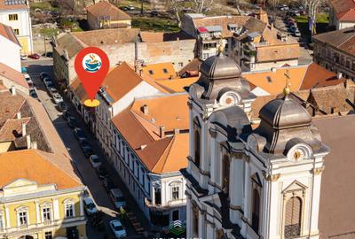 Afacere/cafenea de vînzare în Timișoara - Pța Unirii. - 30