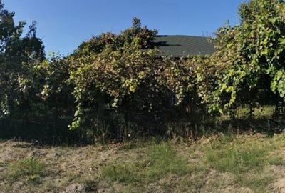Teren de vanzare in zona Ostroveni - 5