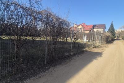 Oportunitate - Teren Iancu Nicolae - Serban Cantacuzino - Ibiza - 8