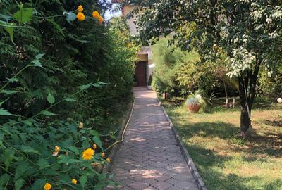 Chiajna, vila P+E+M, teren 900 mp,  369000 Euro - 1