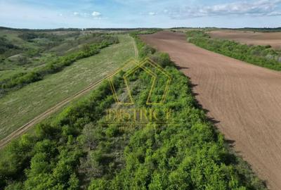 Casa de vacanta cu teren si padure de 3.8ha | Nadas | Herneacova - 10