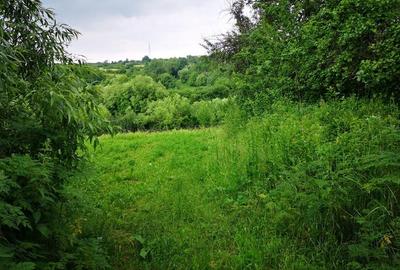 Teren intravilan - 2980mp - de vanzare in Carbunari, Grajduri - 3